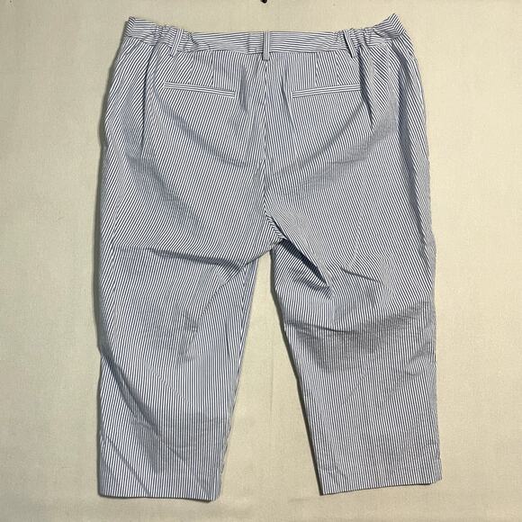 Talbots Slim Ankle Seersucker Pants with Buttons Blue & White - Size 18W - Picture 4 of 10